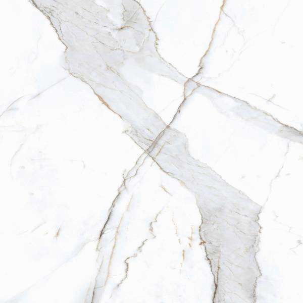 PrimaVera Tile Керамогранит Керамогранит 60x60 Матовый Dario Matt — фото 5