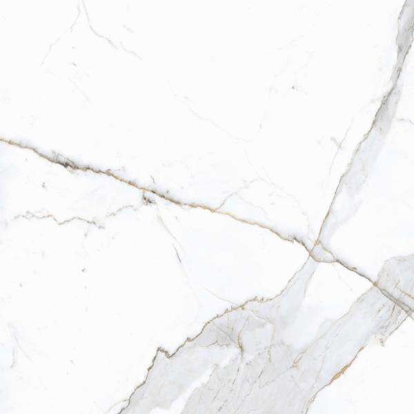 PrimaVera Tile Керамогранит Керамогранит 60x60 Матовый Dario Matt — фото 6