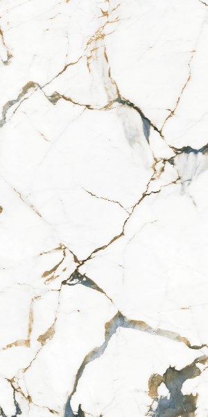 Матовый Realistik Andes Blanco Gold Blue sugar 60х120 — фото 3
