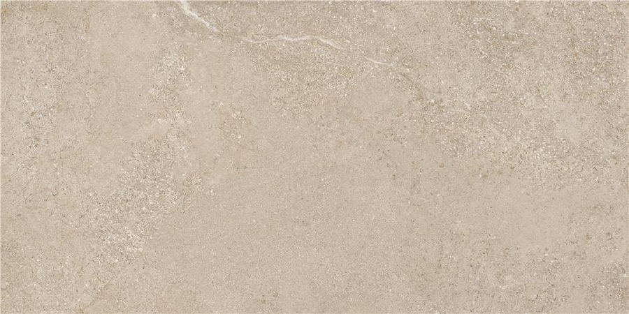 Матовый STN Керамогранит Arenite Natural Matt 60х120