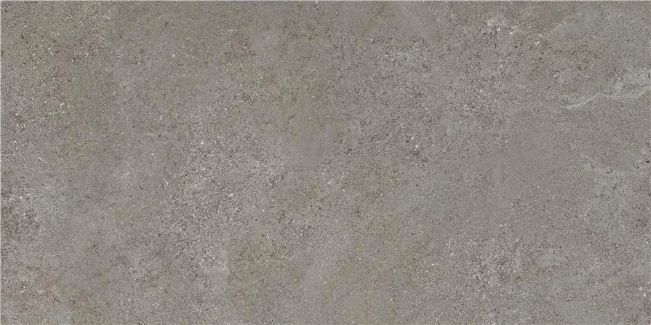 Матовый STN Керамогранит CAN5AREIDD5A Arenite Dark Grey MT 60х120
