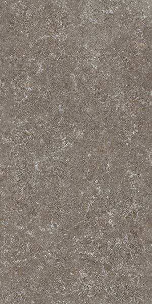 Матовый STN Ceramica Verity Natural Mt Rect. 60x120 — фото 4