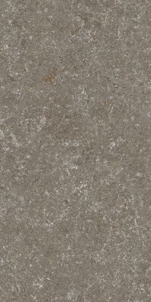 Матовый STN Ceramica Verity Natural Mt Rect. 60x120 — фото 5