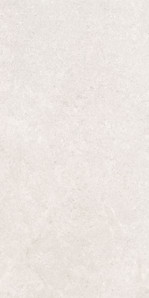 Напольная Vitra K948597R0001VTER SandStone Белый Мат R10A 60x120
