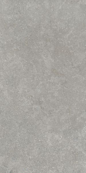 Напольная Vitra K948634R0001VTER SandStone Серый Мат R10A 60x120